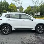 Exeed Zhaofeng C-DM 2023 из Китая