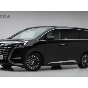 Denza Denza D9 2024 из Китая