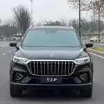 Hongqi Hongqi HS5 2023 из Китая