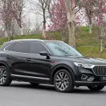 Hongqi Hongqi HS5 2023 из Китая