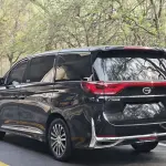 GAC Motor Trumpchi M8 2023 из Китая