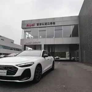 Audi 奥迪A5L 2025 из Китая