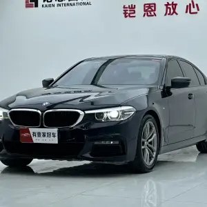 BMW 5 Series (Import) 2019 из Китая