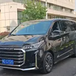 大通 G20 2022 из Китая