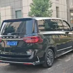 大通 G20 2022 из Китая