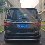 大通 G20 2022 из Китая