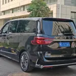 大通 G20 2022 из Китая