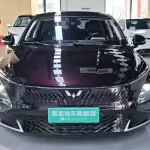 Wuling Xingguang 2024 из Китая