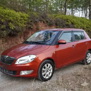 Skoda Fabia 2012 из Китая