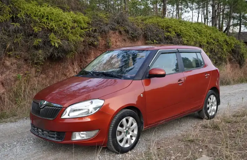 Skoda Fabia 2012 из Китая