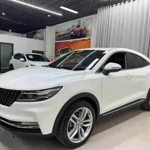 Fengguang Fengguang ix5 2019 из Китая