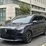 Roewe iMAX8 2022 из Китая