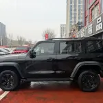 Tank Tank 300 2021 из Китая