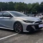 GAC Motor Shadow Leopard 2025 из Китая