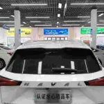 Haval Shenshou 2022 из Китая