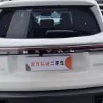 Haval Big Dog 2024 из Китая