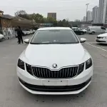 Skoda Octavia 2020 из Китая