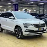 Skoda Karoq 2022 из Китая