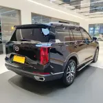 GAC Motor Trumpchi GS8 2022 из Китая