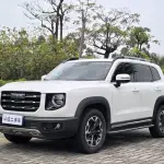 Haval Big Dog 2022 из Китая