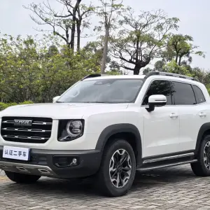 Haval Big Dog 2022 из Китая