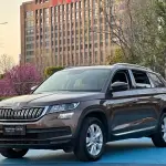 Skoda Kodiaq 2018 из Китая