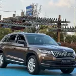 Skoda Kodiaq 2018 из Китая