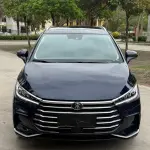 BYD MAX 2022 из Китая