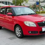 Skoda Fabia 2009 из Китая