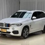 BMW X5 (Import) 2018 306 л.с. 306 л.с. из Китая