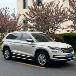 Skoda Kodiaq 2018 из Китая