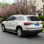 Skoda Kodiaq 2018 из Китая