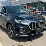 Hongqi Hongqi HS5 2021 из Китая