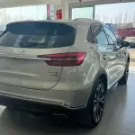 Hongqi Hongqi HS5 2021 из Китая