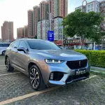 Wey Wey VV7 2018 из Китая