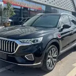 Hongqi Hongqi HS5 2022 из Китая