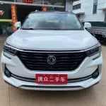 Fengxing Fengxing T5 2019 из Китая