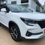 Fengxing Fengxing T5 2019 из Китая