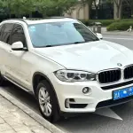 BMW X5 (Import) 2015 306 л.с. 306 л.с. 306 л.с. из Китая