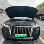 Hongqi Hongqi E-HS9 2023 из Китая