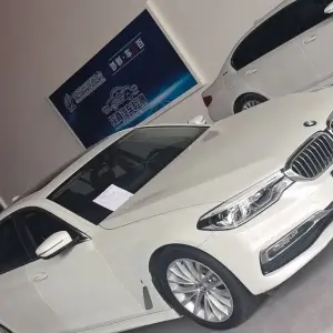 BMW 5 Series New Energy 2019 из Китая