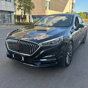 Hongqi Hongqi H5 2021 из Китая