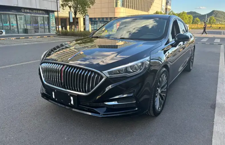 Hongqi Hongqi H5 2021 из Китая
