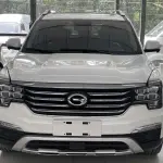 GAC Motor Trumpchi GS8 2017 из Китая