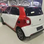 smart Smart Forfour 2018 из Китая
