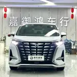 Denza Denza D9 2023 из Китая