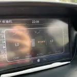 Ford Ecosport 2013 из Китая