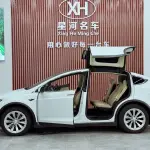 Tesla Model X 2017 из Китая