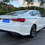 Geely Binrui 2021 из Китая