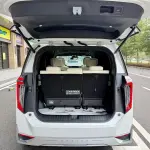 GAC Motor Trumpchi M8 2023 из Китая